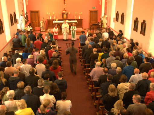 McFeely Roots Celebrations